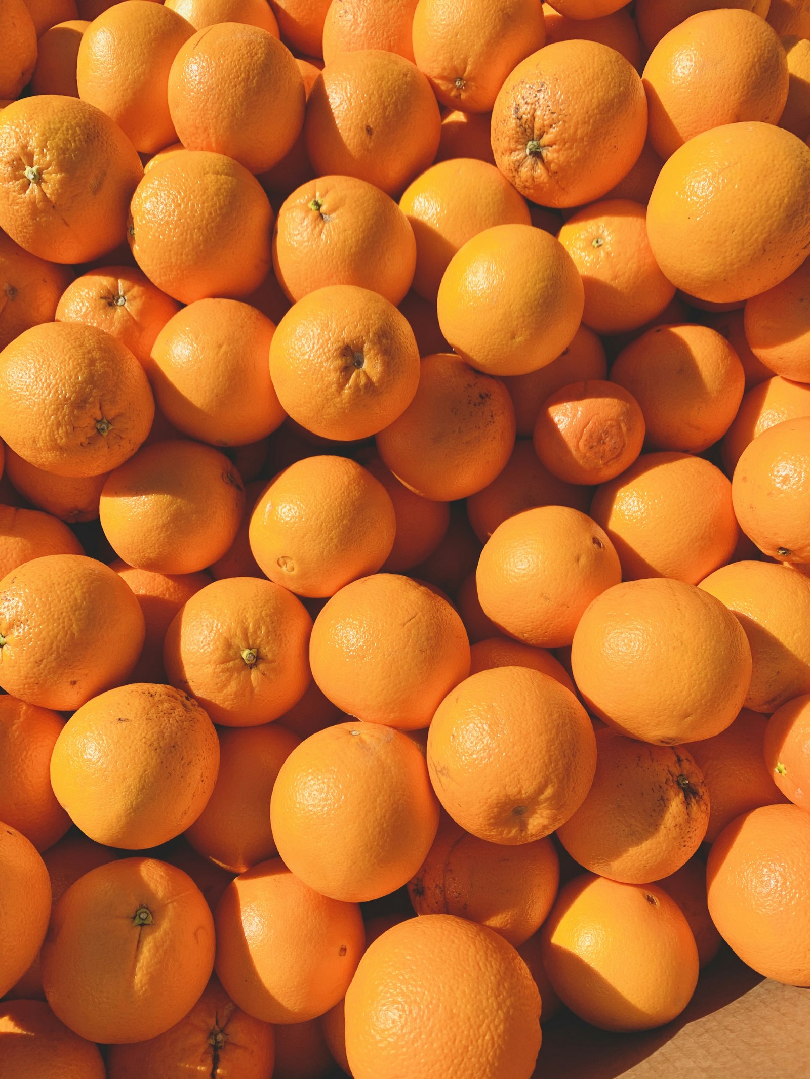 Oranges fraîches